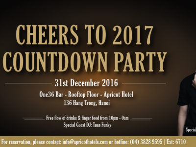 Apricot Hotel Countdown Party 2016